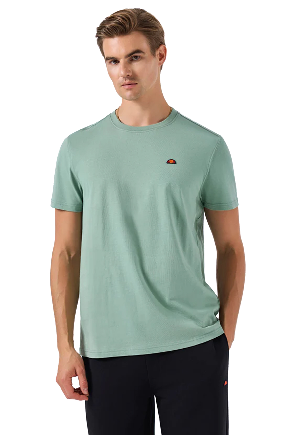 6SM5069-MNT